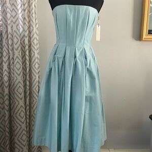 Calvin Klein Elegant Strapless Lt Blue Pleated Dress